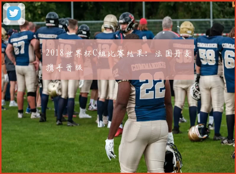 2018世界杯C组比赛结果:法国丹麦携手晋级