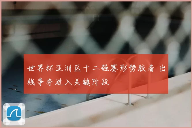 世界杯亚洲区十二强赛形势胶着 出线争夺进入关键阶段