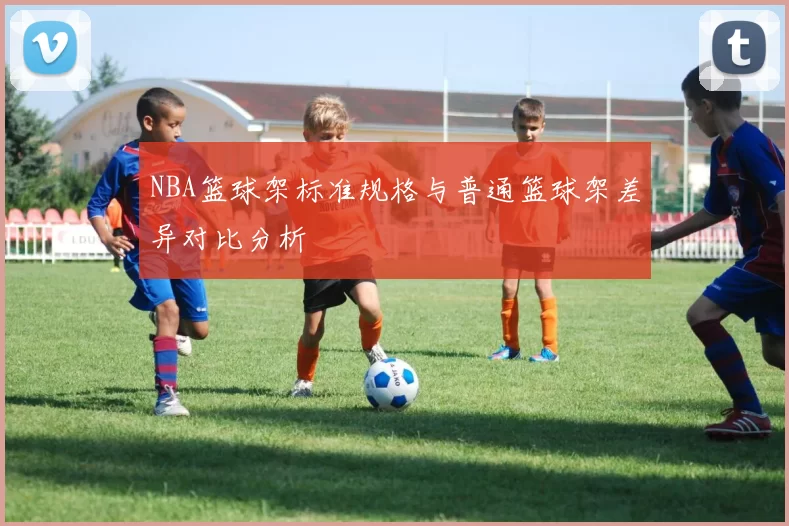 NBA篮球架标准规格与普通篮球架差异对比分析