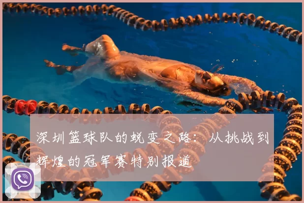 深圳篮球队的蜕变之路:从挑战到辉煌的冠军赛特别报道
