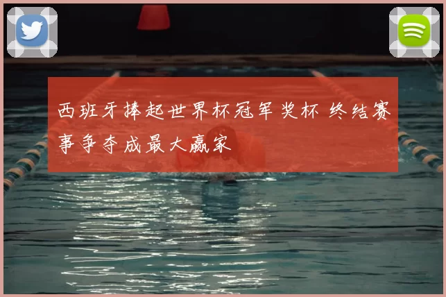 西班牙捧起世界杯冠军奖杯 终结赛事争夺成最大赢家