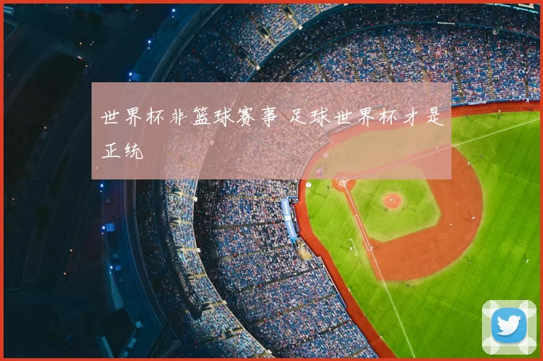 世界杯非篮球赛事 足球世界杯才是正统