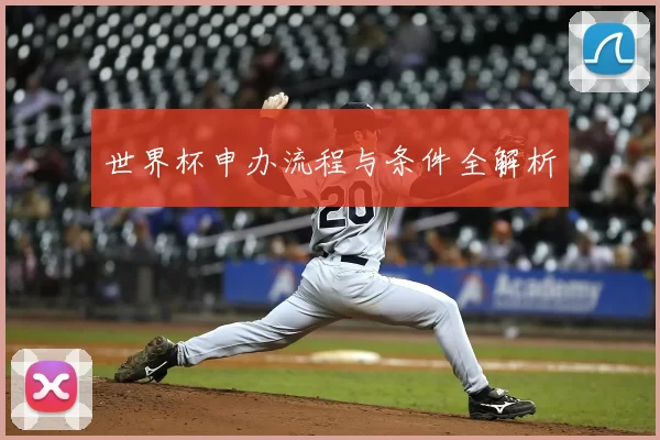 世界杯申办流程与条件全解析