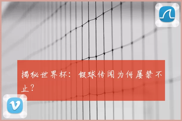 揭秘世界杯：假球传闻为何屡禁不止？