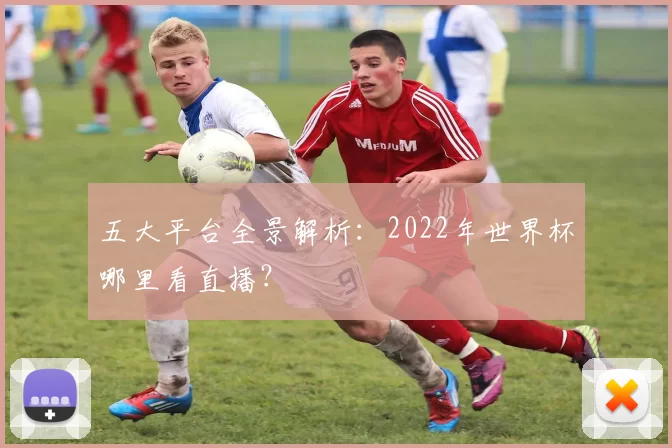 五大平台全景解析:2022年世界杯哪里看直播?
