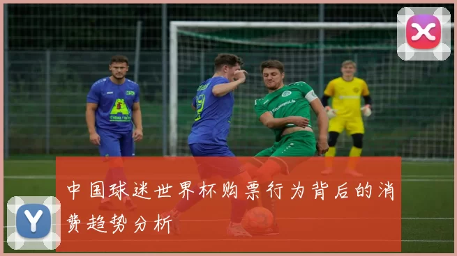 中国球迷世界杯购票行为背后的消费趋势分析