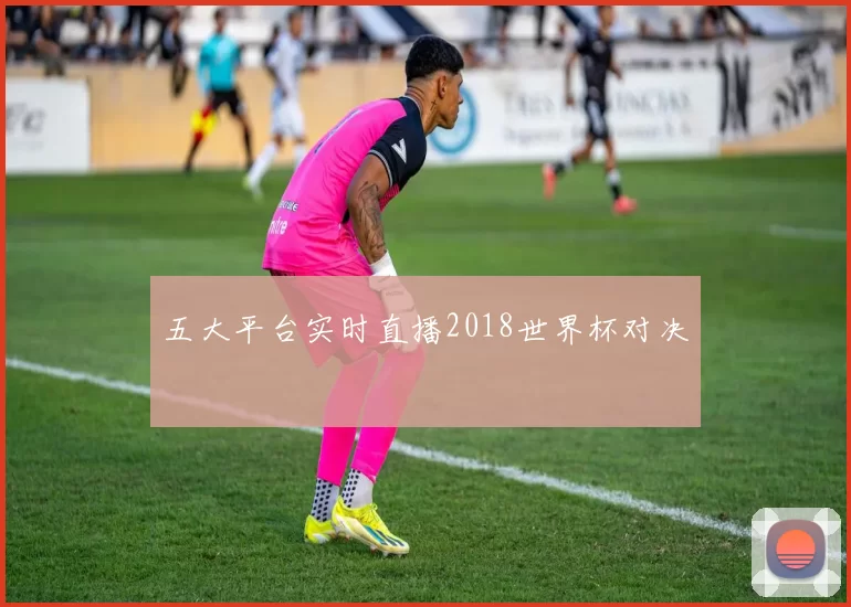 五大平台实时直播2018世界杯对决