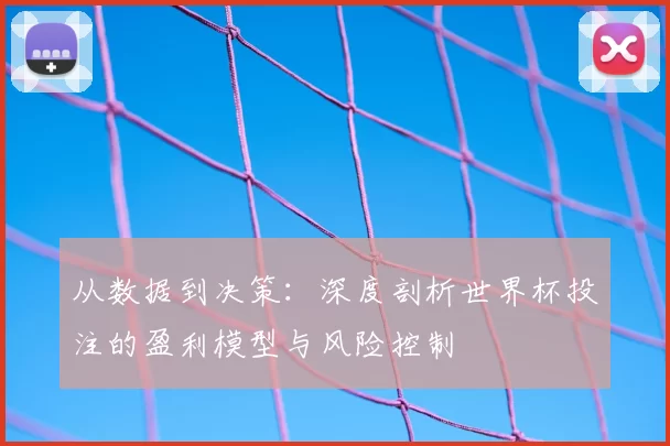 从数据到决策:深度剖析世界杯投注的盈利模型与风险控制