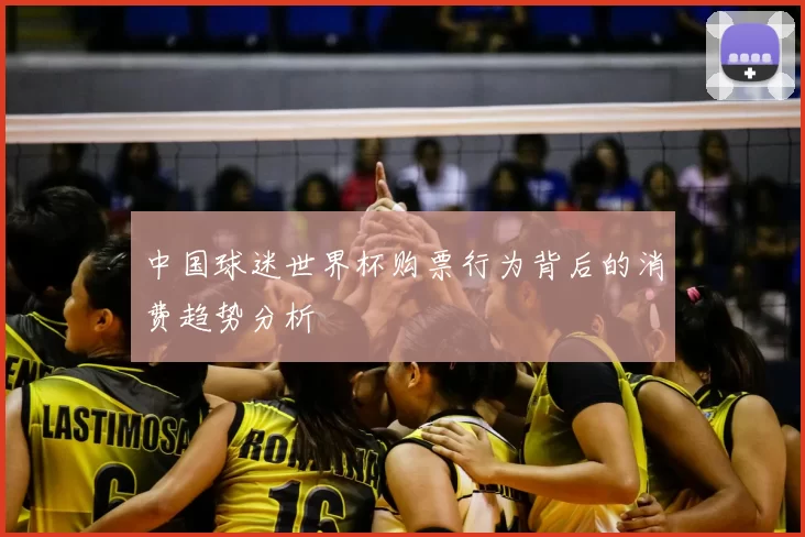 中国球迷世界杯购票行为背后的消费趋势分析