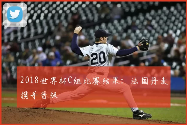 2018世界杯C组比赛结果:法国丹麦携手晋级