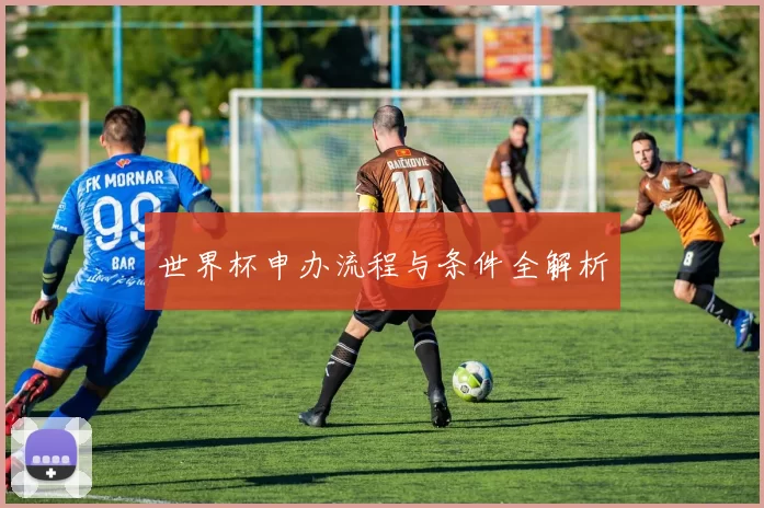 世界杯申办流程与条件全解析