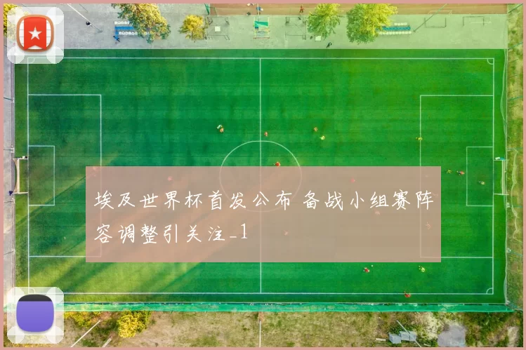 埃及世界杯首发公布 备战小组赛阵容调整引关注_1