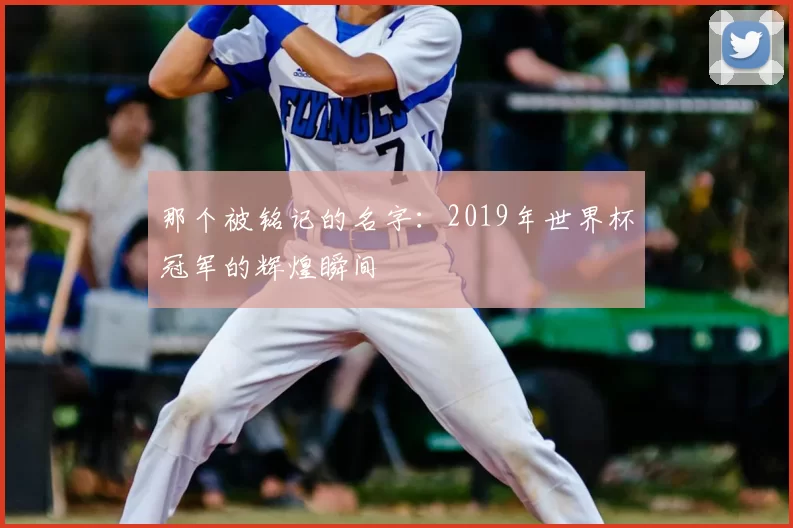 那个被铭记的名字:2019年世界杯冠军的辉煌瞬间