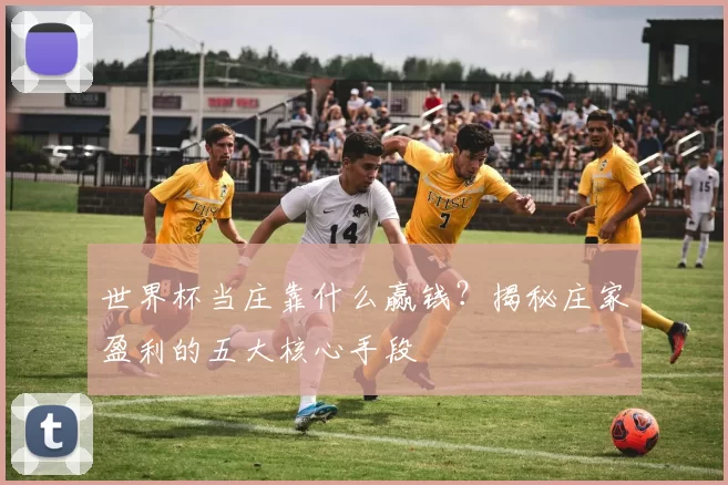 世界杯当庄靠什么赢钱?揭秘庄家盈利的五大核心手段