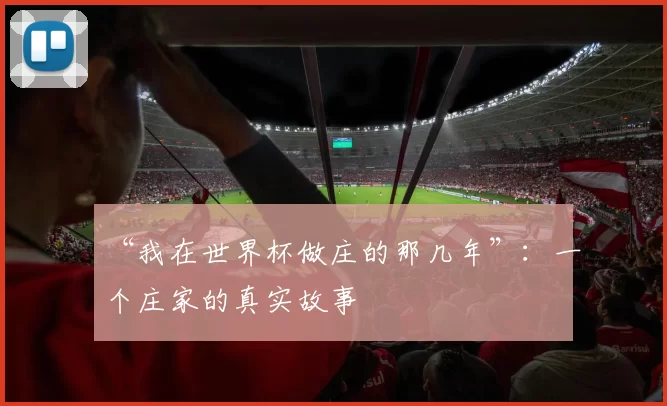 “我在世界杯做庄的那几年”:一个庄家的真实故事