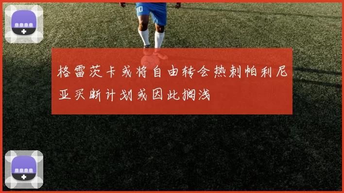 格雷茨卡或将自由转会热刺帕利尼亚买断计划或因此搁浅